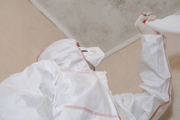 Best HVAC Mold Remediation in Whitewater, WI